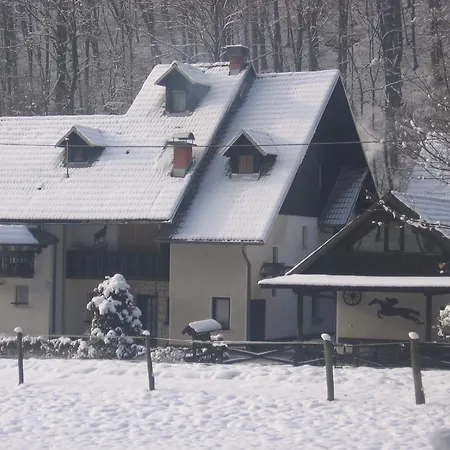 Gubanec