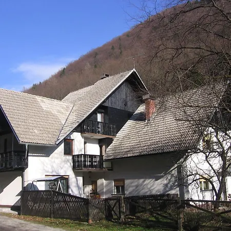 Gubanec