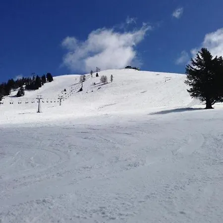 Gubanec Cerklje na Gorenjskem