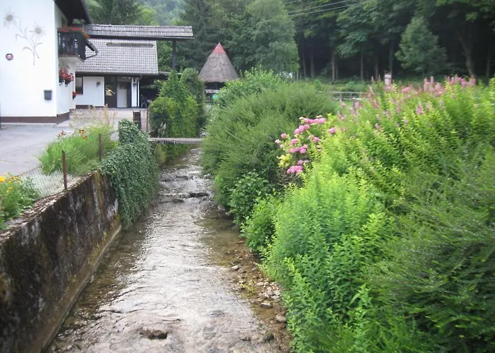 古班尼克公寓 招待所 戈雷尼斯卡地区采尔克列